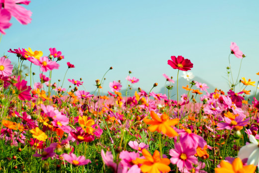 1518288 (a): :2560x1706
